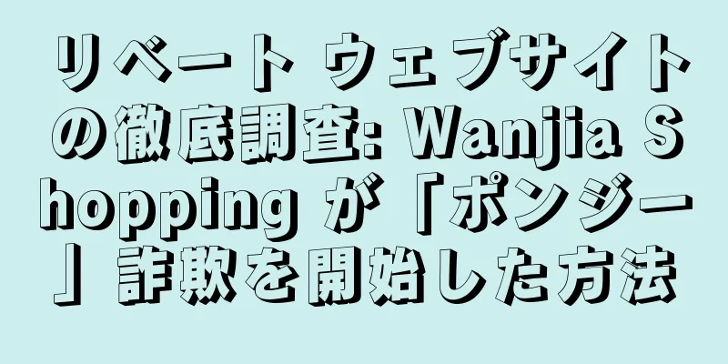 リベート ウェブサイトの徹底調査: Wanjia Shopping が「ポンジー」詐欺を開始した方法