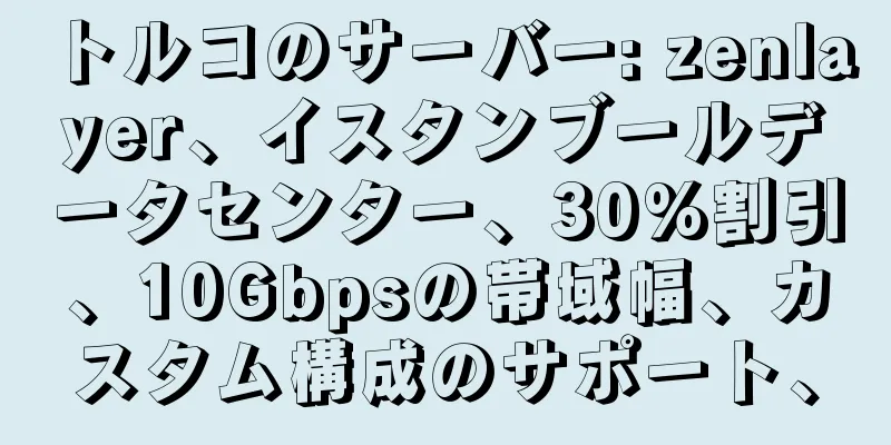 トルコのサーバー: zenlayer、イスタンブールデータセンター、30%割引、10Gbpsの帯域幅、カスタム構成のサポート、