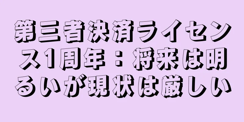 第三者決済ライセンス1周年：将来は明るいが現状は厳しい