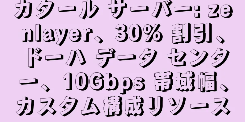 カタール サーバー: zenlayer、30% 割引、ドーハ データ センター、10Gbps 帯域幅、カスタム構成リソース