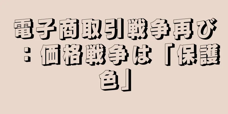 電子商取引戦争再び：価格戦争は「保護色」