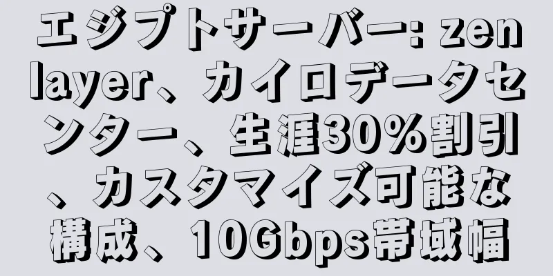 エジプトサーバー: zenlayer、カイロデータセンター、生涯30%割引、カスタマイズ可能な構成、10Gbps帯域幅