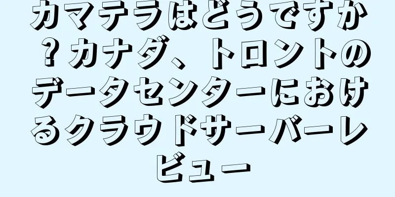 カマテラはどうですか？カナダ、トロントのデータセンターにおけるクラウドサーバーレビュー