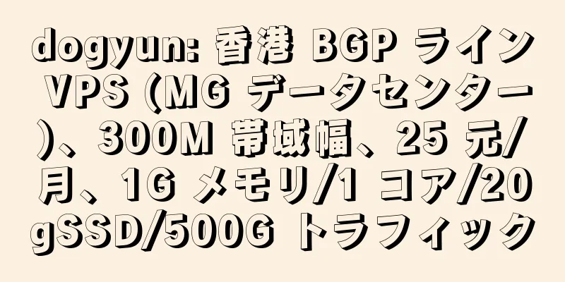 dogyun: 香港 BGP ライン VPS (MG データセンター)、300M 帯域幅、25 元/月、1G メモリ/1 コア/20gSSD/500G トラフィック