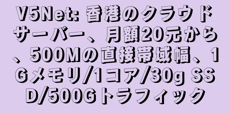 V5Net: 香港のクラウドサーバー、月額20元から、500Mの直接帯域幅、1Gメモリ/1コア/30g SSD/500Gトラフィック