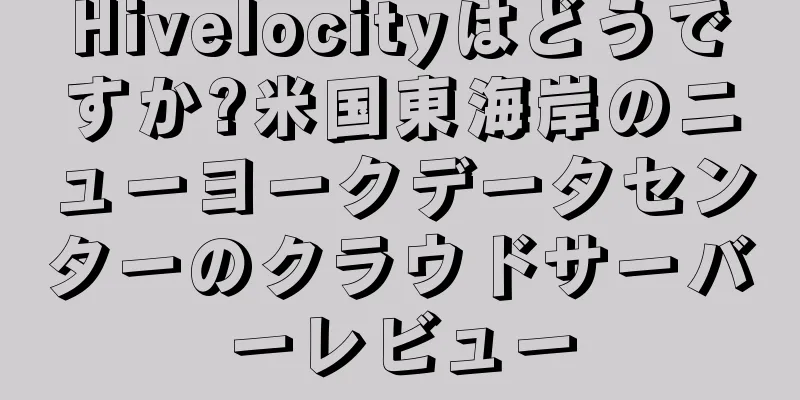 Hivelocityはどうですか?米国東海岸のニューヨークデータセンターのクラウドサーバーレビュー