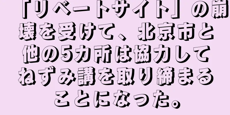 「リベートサイト」の崩壊を受けて、北京市と他の5カ所は協力してねずみ講を取り締まることになった。