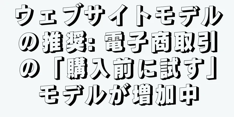 ウェブサイトモデルの推奨: 電子商取引の「購入前に試す」モデルが増加中