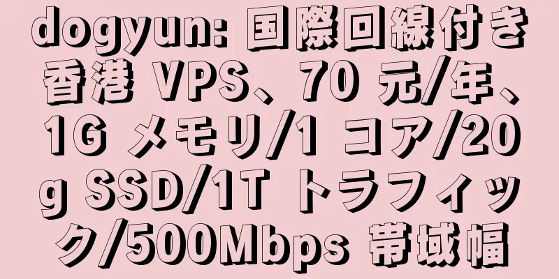 dogyun: 国際回線付き香港 VPS、70 元/年、1G メモリ/1 コア/20g SSD/1T トラフィック/500Mbps 帯域幅