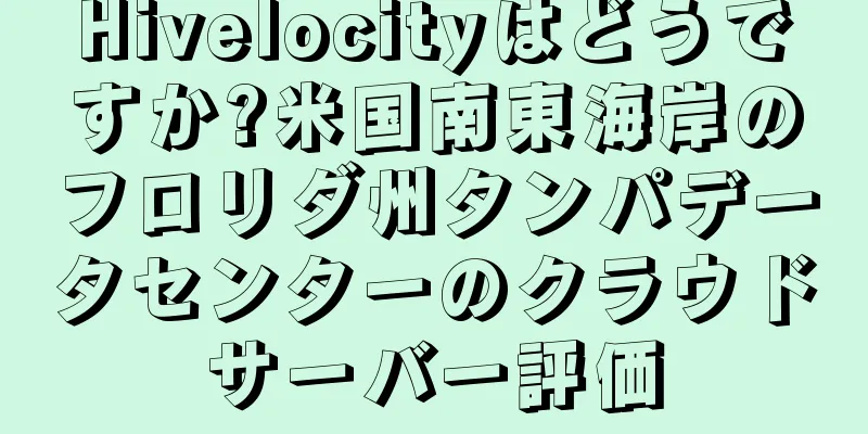 Hivelocityはどうですか?米国南東海岸のフロリダ州タンパデータセンターのクラウドサーバー評価