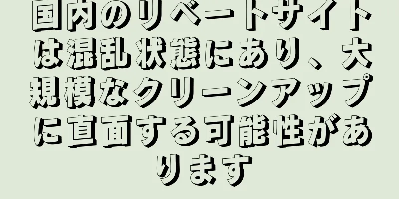 国内のリベートサイトは混乱状態にあり、大規模なクリーンアップに直面する可能性があります