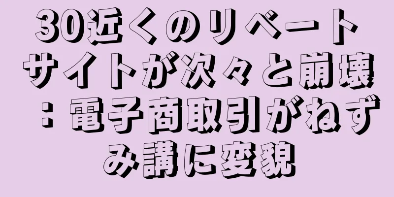 30近くのリベートサイトが次々と崩壊：電子商取引がねずみ講に変貌