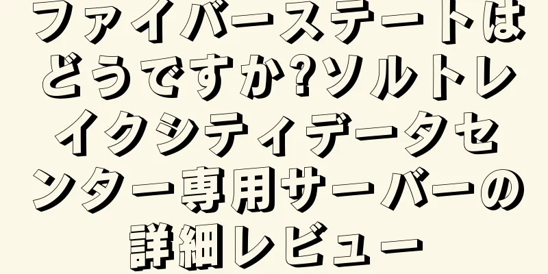 ファイバーステートはどうですか?ソルトレイクシティデータセンター専用サーバーの詳細レビュー