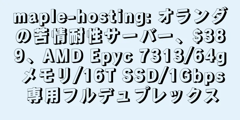 maple-hosting: オランダの苦情耐性サーバー、$389、AMD Epyc 7313/64g メモリ/16T SSD/1Gbps 専用フルデュプレックス