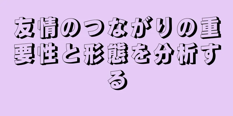 友情のつながりの重要性と形態を分析する