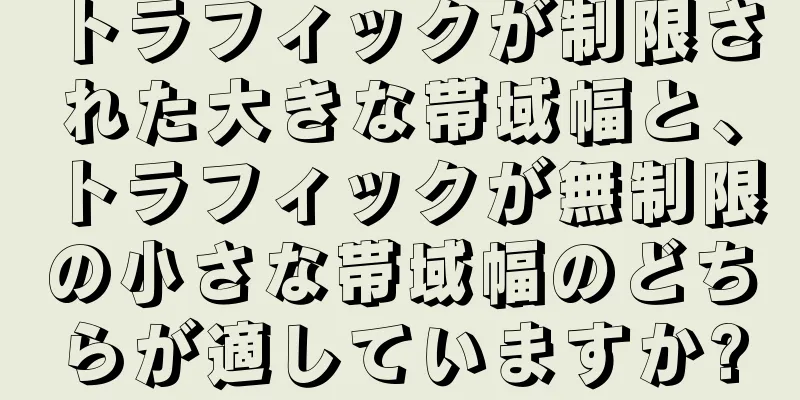 トラフィックが制限された大きな帯域幅と、トラフィックが無制限の小さな帯域幅のどちらが適していますか?