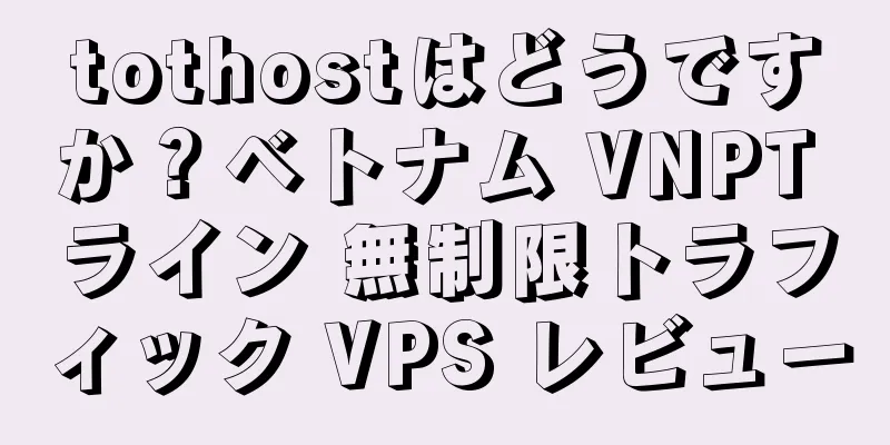 tothostはどうですか？ベトナム VNPT ライン 無制限トラフィック VPS レビュー