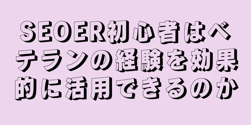 SEOER初心者はベテランの経験を効果的に活用できるのか