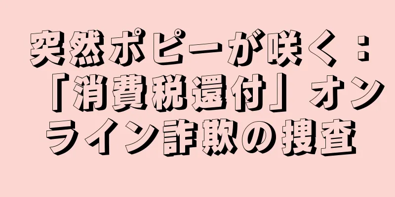 突然ポピーが咲く：「消費税還付」オンライン詐欺の捜査
