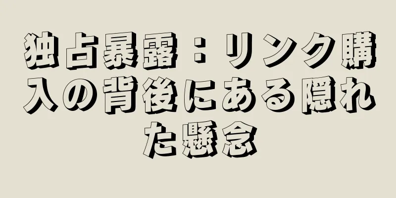 独占暴露：リンク購入の背後にある隠れた懸念