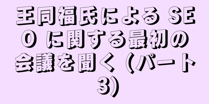 王同福氏による SEO に関する最初の会議を聞く (パート 3)