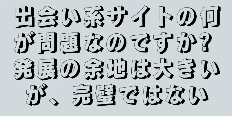 出会い系サイトの何が問題なのですか? 発展の余地は大きいが、完璧ではない