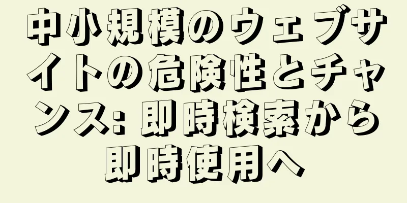 中小規模のウェブサイトの危険性とチャンス: 即時検索から即時使用へ