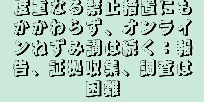 度重なる禁止措置にもかかわらず、オンラインねずみ講は続く：報告、証拠収集、調査は困難