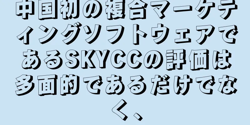 中国初の複合マーケティングソフトウェアであるSKYCCの評価は多面的であるだけでなく、