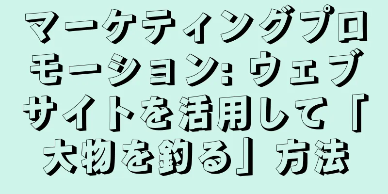 マーケティングプロモーション: ウェブサイトを活用して「大物を釣る」方法