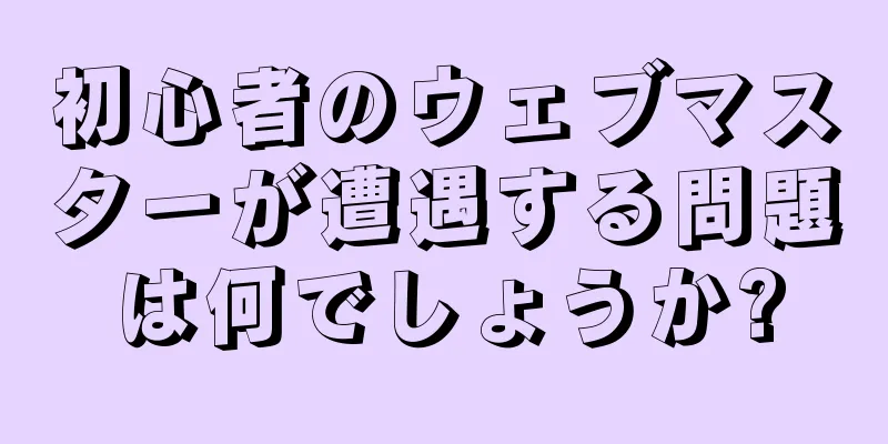 初心者のウェブマスターが遭遇する問題は何でしょうか?