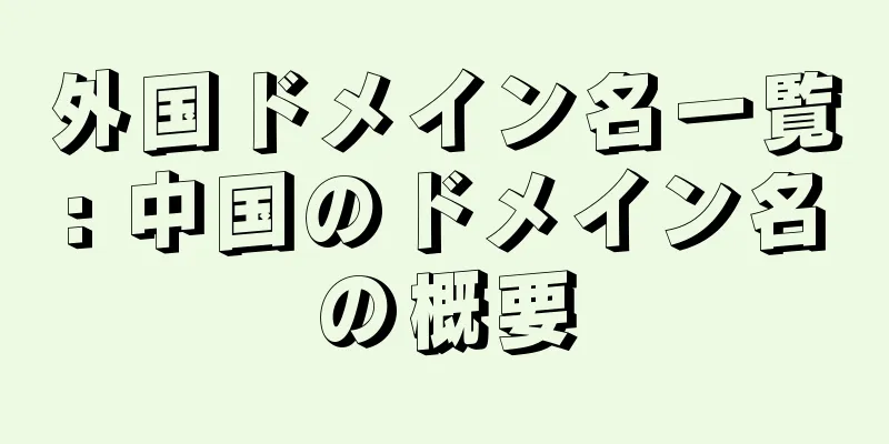 外国ドメイン名一覧: 中国のドメイン名の概要