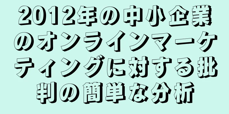 2012年の中小企業のオンラインマーケティングに対する批判の簡単な分析