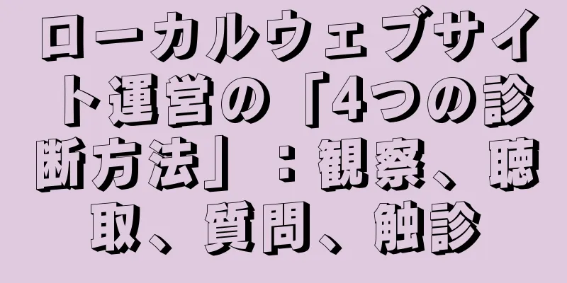 ローカルウェブサイト運営の「4つの診断方法」：観察、聴取、質問、触診
