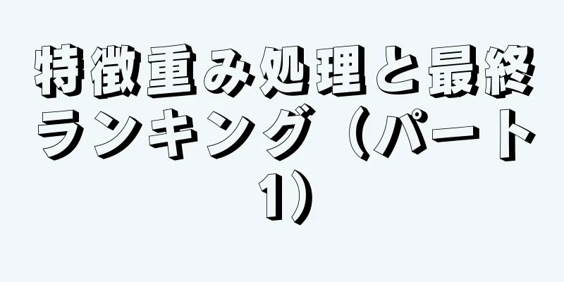 特徴重み処理と最終ランキング（パート1）