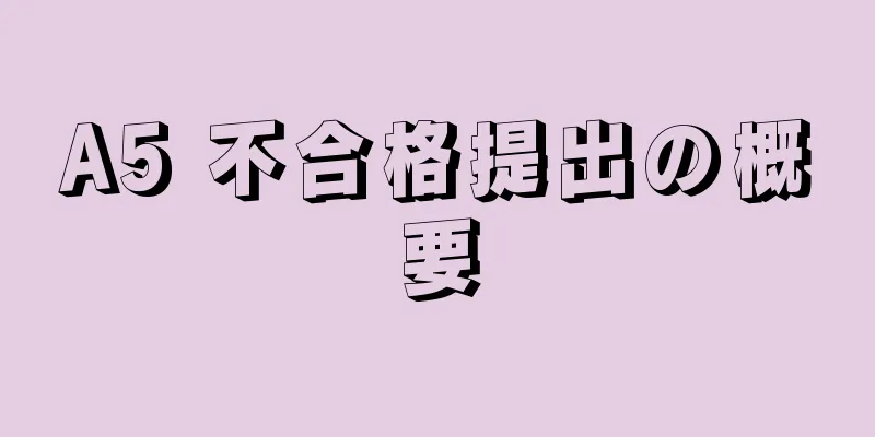 A5 不合格提出の概要