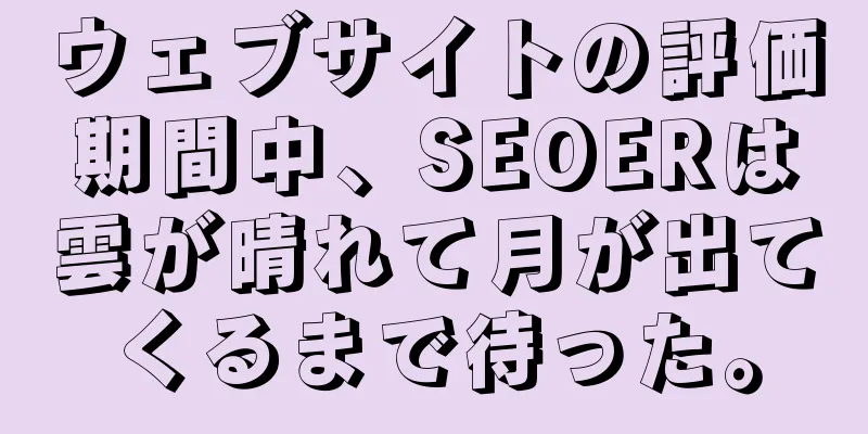 ウェブサイトの評価期間中、SEOERは雲が晴れて月が出てくるまで待った。