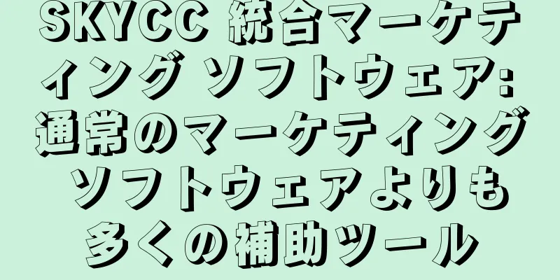 SKYCC 統合マーケティング ソフトウェア: 通常のマーケティング ソフトウェアよりも多くの補助ツール