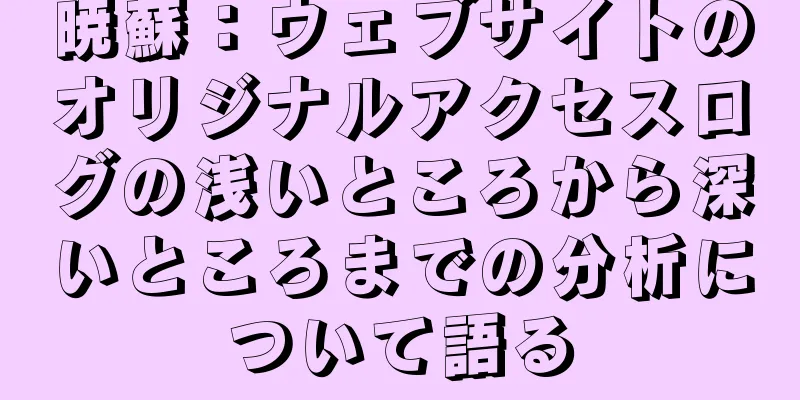 暁蘇：ウェブサイトのオリジナルアクセスログの浅いところから深いところまでの分析について語る