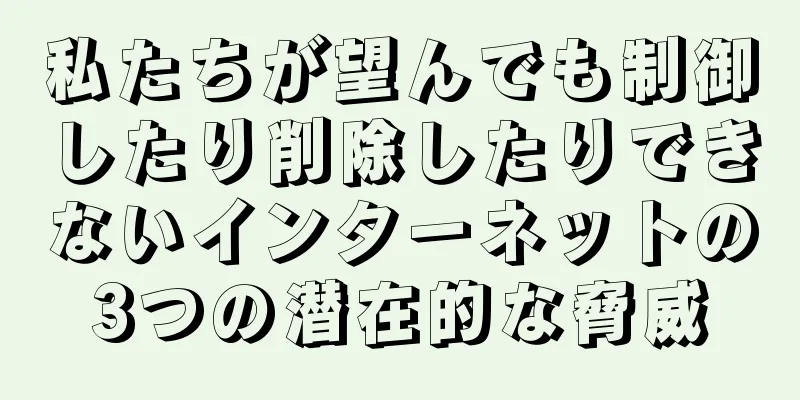 私たちが望んでも制御したり削除したりできないインターネットの3つの潜在的な脅威