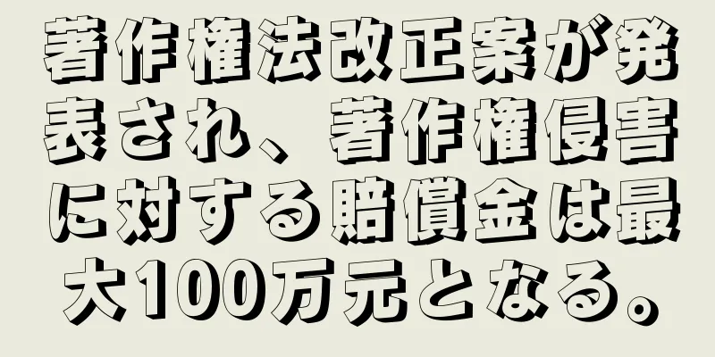 著作権法改正案が発表され、著作権侵害に対する賠償金は最大100万元となる。