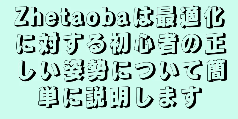 Zhetaobaは最適化に対する初心者の正しい姿勢について簡単に説明します