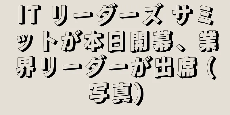 IT リーダーズ サミットが本日開幕、業界リーダーが出席 (写真)