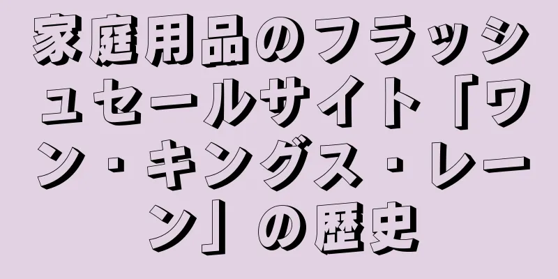家庭用品のフラッシュセールサイト「ワン・キングス・レーン」の歴史