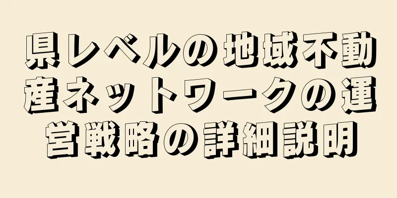 県レベルの地域不動産ネットワークの運営戦略の詳細説明