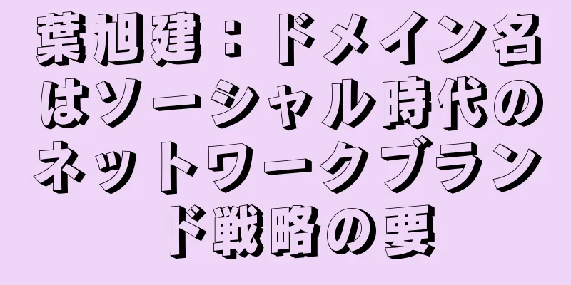 葉旭建：ドメイン名はソーシャル時代のネットワークブランド戦略の要
