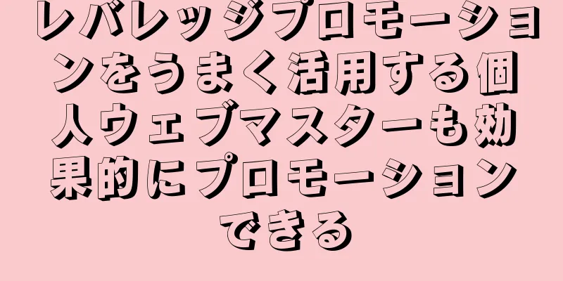 レバレッジプロモーションをうまく活用する個人ウェブマスターも効果的にプロモーションできる