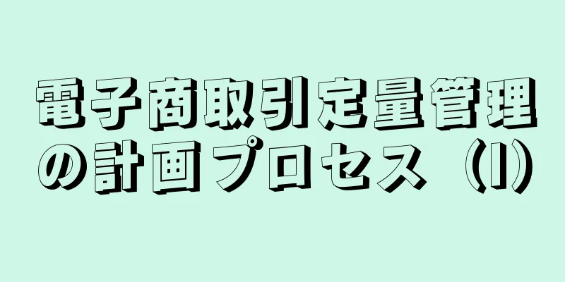 電子商取引定量管理の計画プロセス（I）