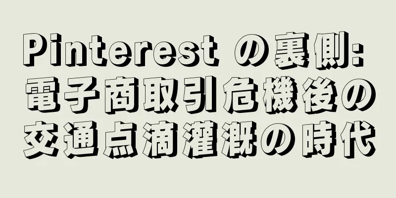 Pinterest の裏側: 電子商取引危機後の交通点滴灌漑の時代
