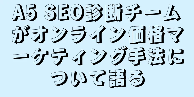 A5 SEO診断チームがオンライン価格マーケティング手法について語る